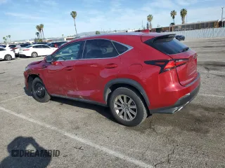 2020 Lexus NX 300 with VIN JTJAARBZXL5001159, listed as a Copart auction lot 50264585 with 49,024 mi miles and Salvage title. Bid and sale history available at DreamBid. Image 2.