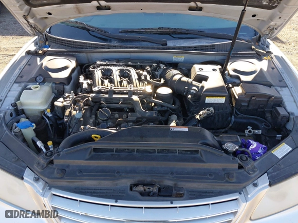 2007 Hyundai Azera GLS with VIN KMHFC46D67A226207, listed as a IAAI auction lot 41526623 with 123,066 mi miles. Bid and sale history available at carsss.com. Image 10.