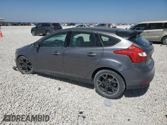 2013 Ford Focus SE with VIN 1FADP3K27DL263111, listed as a Copart auction lot 49594375 with 38,998 mi miles and Salvage Title. Bid and sale history available at carsss.com. Image 2.