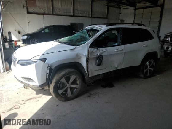 2022 Jeep Cherokee Limited with VIN 1C4PJMDX5ND554225, listed as a Copart auction lot 45988265 with 19,813 mi miles and Salvage Title. Bid and sale history available at DreamBid. Image 1.