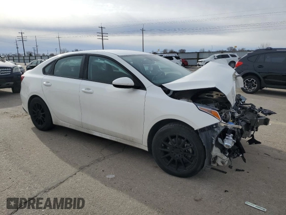 2020 Kia Forte LXS with VIN 3KPF24AD3LE179773, listed as a Copart auction lot 44082085 with 0 mi miles and Salvage Title. Bid and sale history available at carsss.com. Image 4.