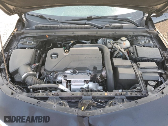 2019 Chevrolet Malibu LS with VIN 1G1ZB5ST2KF184453, listed as a Copart auction lot 52422955 with 65,716 mi miles and Salvage Title. Bid and sale history available at DreamBid. Image 13.