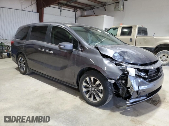 2024 Honda Odyssey EX-L with VIN 5FNRL6H69RB069598, listed as a Copart auction lot 53810215 with 5,789 mi miles and Salvage Title. Bid and sale history available at DreamBid. Image 4.