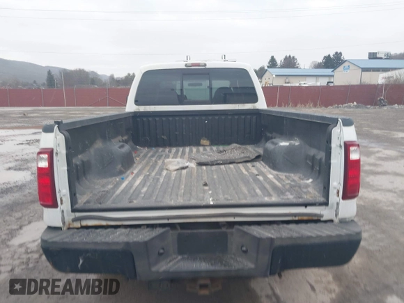 2010 Ford Super Duty F-250 SRW XL with VIN 1FTSW2B59AEB36692, listed as a IAAI auction lot 41517219 with 43,151 mi miles. Bid and sale history available at carsss.com. Image 16.