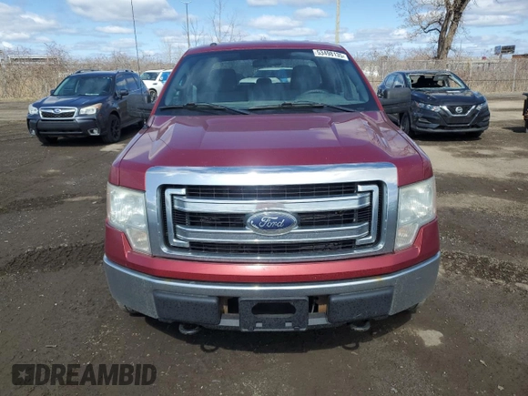 2013 Ford F-150 XL with VIN 1FTFX1EF0DFB86523, listed as a Copart auction lot 53498135 with 460,305 mi miles and Salvage title. Bid and sale history available at DreamBid. Image 5.