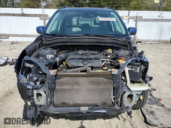 2017 Subaru Forester Limited with VIN JF2SJALC2HH501441, listed as a Copart auction lot 51919125 with 230,456 mi miles and Salvage Title. Bid and sale history available at carsss.com. Image 5.