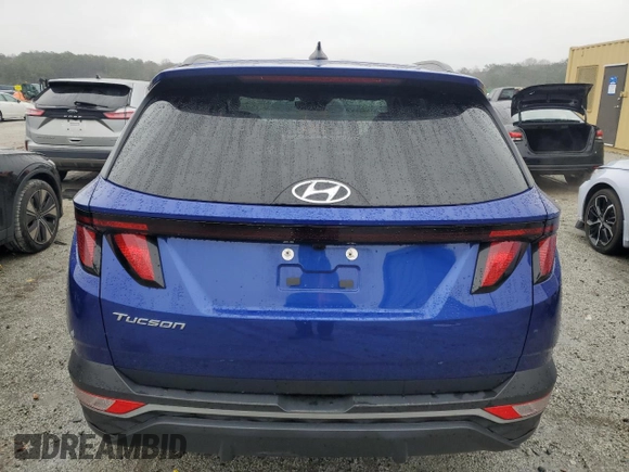 2024 Hyundai Tucson SEL with VIN 5NMJB3DE2RH300142, listed as a Copart auction lot 42783485 with Not Provided miles and Non Repairable. Bid and sale history available at DreamBid. Image 6.