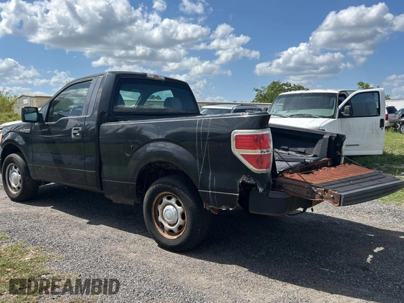 2013 Ford F-150 XL with VIN 1FTMF1CM7DFE09796, listed as a Copart auction lot 51871585 with 67,872 mi miles and Clean title. Bid and sale history available at DreamBid. Image 3.