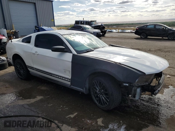 2010 Ford Mustang V6 with VIN 1ZVBP8AN8A5125021, listed as a Copart auction lot 55062725 with 163,880 mi miles and Salvage title. Bid and sale history available at DreamBid. Image 4.