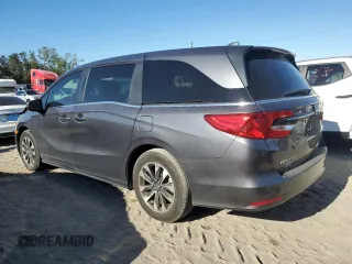 2024 Honda Odyssey EX-L with VIN 5FNRL6H69RB069598, listed as a Copart auction lot 81798314 with Not Provided miles and Salvage Title. Bid and sale history available at DreamBid. Image 2.