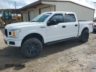 2019 Ford F-150 XL with VIN 1FTEW1C59KFA29899, listed as a Copart auction lot 54357335 with Not Provided miles and Non Repairable. Bid and sale history available at carsss.com. Image 1.