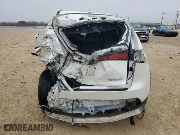 2020 Lexus NX 300 with VIN JTJAARBZ1L2176885, listed as a Copart auction lot 43062925 with 81,627 mi miles and Salvage title. Bid and sale history available at DreamBid. Image 6.