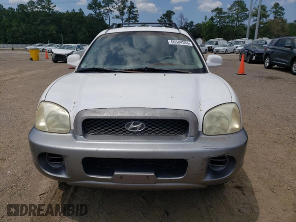 2004 Hyundai Santa Fe z VIN KM8SB12B04U640985, wystawiony jako Copart lot #56584595 z przebiegiem 239 527 mil mil oraz Szkoda całkowita • Salvage title. Historia ofert i sprzedaży dostępna na DreamBid. Obrazek 5.