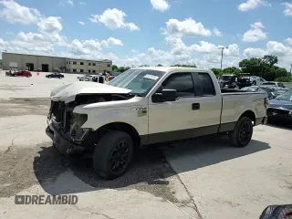 2009 Ford F-150 STX with VIN 1FTRX12W79KC78227, listed as a Copart auction lot 62272975 with 189,516 mi miles and Salvage title. Bid and sale history available at DreamBid. Image 14.