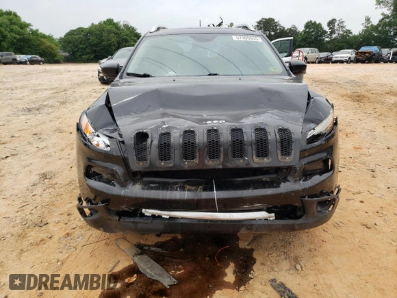 2016 Jeep Cherokee Limited with VIN 1C4PJLDS8GW207378, listed as a Copart auction lot 57309855 with 202,432 mi miles and Salvage title. Bid and sale history available at DreamBid. Image 5.