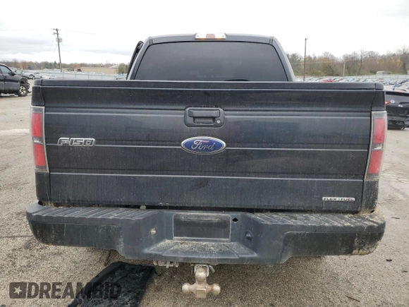 2011 Ford F-150 XL with VIN 1FTFW1EF2BFA68313, listed as a Copart auction lot 81508184 with 232,407 mi miles and Non Repairable. Bid and sale history available at carsss.com. Image 6.