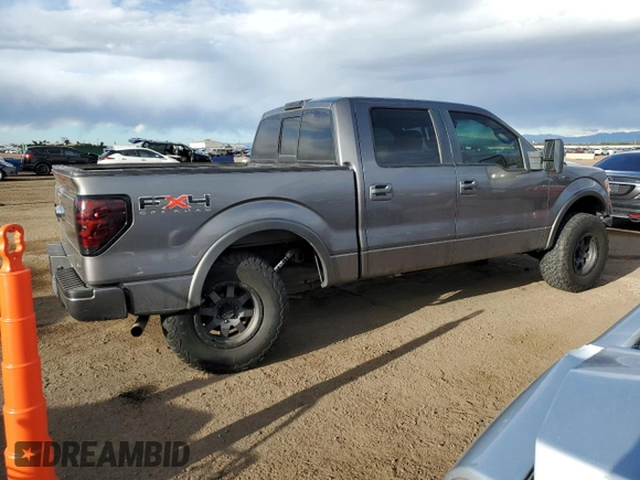 2010 Ford F-150 XL with VIN 1FTFW1EV6AFA03440, listed as a Copart auction lot 54847325 with 176,807 mi miles and Salvage Title. Bid and sale history available at DreamBid. Image 3.