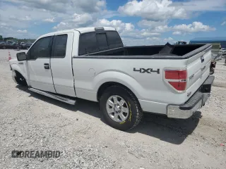 2013 Ford F-150 XL with VIN 1FTFX1EF4DFB02199, listed as a Copart auction lot 61959245 with 165,390 mi miles and Salvage title. Bid and sale history available at DreamBid. Image 2.
