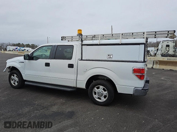 2011 Ford F-150 XL with VIN 1FTEW1CM1BKE10936, listed as a Copart auction lot 50804515 with 222,964 mi miles and Salvage Title. Bid and sale history available at carsss.com. Image 2.