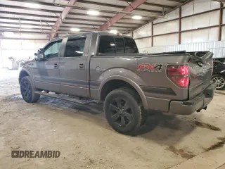 2014 Ford F-150 XL with VIN 1FTFW1ET3EFC87565, listed as a Copart auction lot 49617765 with 159,521 mi miles and Salvage Title. Bid and sale history available at carsss.com. Image 2.