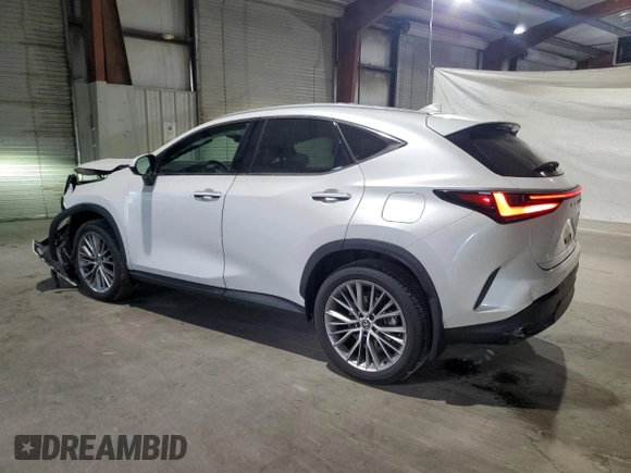 2024 Lexus NX 350 Luxury with VIN 2T2HGCEZ1RC032641, listed as a Copart auction lot 78961404 with 13,066 mi miles and Salvage title. Bid and sale history available at DreamBid. Image 2.