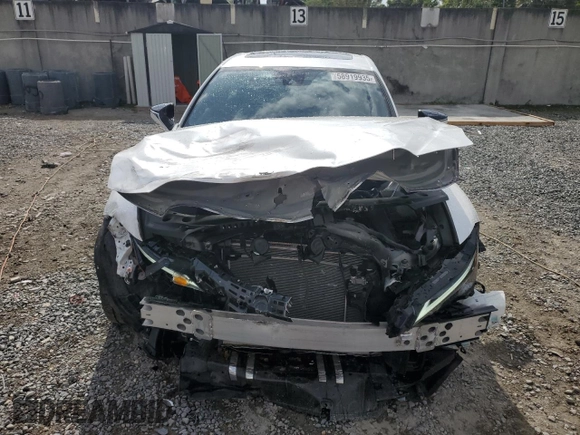 2024 Lexus IS 300 with VIN JTHCA1D24R5133113, listed as a Copart auction lot 58919935 with 4,780 mi miles and Salvage title. Bid and sale history available at DreamBid. Image 5.