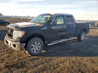 2010 Ford F-150 XL z VIN 1FTFW1EV9AFD21293, wystawiony jako Copart lot #77943404 z przebiegiem 123 165 mil mil oraz Szkoda całkowita • Salvage title. Historia ofert i sprzedaży dostępna na DreamBid. Obrazek 1.