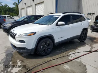 2018 Jeep Cherokee Latitude with VIN 1C4PJLCB3JD596323, listed as a Copart auction lot 58019915 with 111,301 mi miles and Salvage title. Bid and sale history available at DreamBid. Image 1.