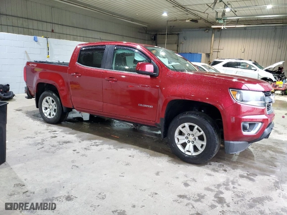 2019 Chevrolet Colorado 4WD LT with VIN 1GCGTCEN6K1123133, listed as a Copart auction lot 80714774 with 43,019 mi miles and Salvage Title. Bid and sale history available at carsss.com. Image 4.