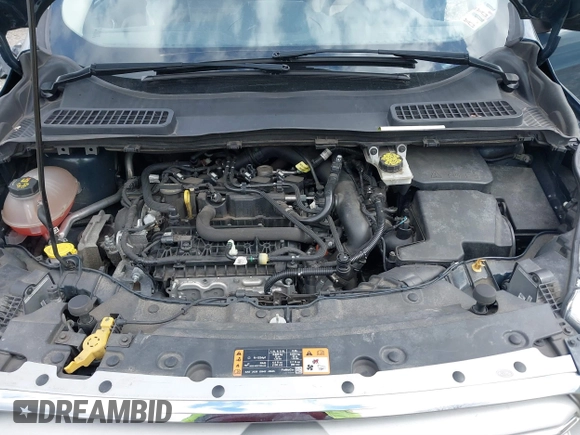 2019 Ford Escape SEL with VIN 1FMCU9HD6KUC44479, listed as a IAAI auction lot 41883497 with 98,789 mi miles. Bid and sale history available at carsss.com. Image 10.