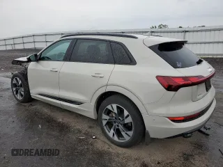 2022 Audi e-tron Premium with VIN WA1AAAGE2NB014223, listed as a Copart auction lot 62382173 with 44,146 mi miles. Bid and sale history available at carsss.com. Image 2.