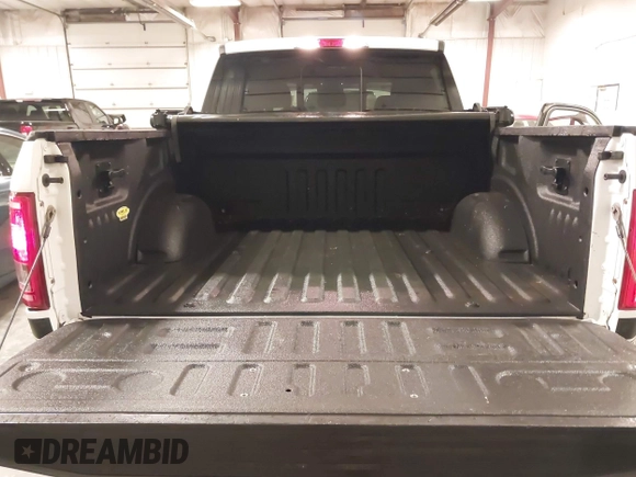 2016 Ford F-150 XLT with VIN 1FTEW1EF8GFD43685, listed as a IAAI auction lot 41984872 with 133,132 mi miles and . Bid and sale history available at carsss.com. Image 17.