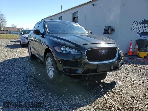2019 Jaguar F-Pace 25t Prestige with VIN SADCK2FX5KA351866, listed as a Copart auction lot 50012205 with 51,464 mi miles and Salvage Title. Bid and sale history available at DreamBid. Image 14.