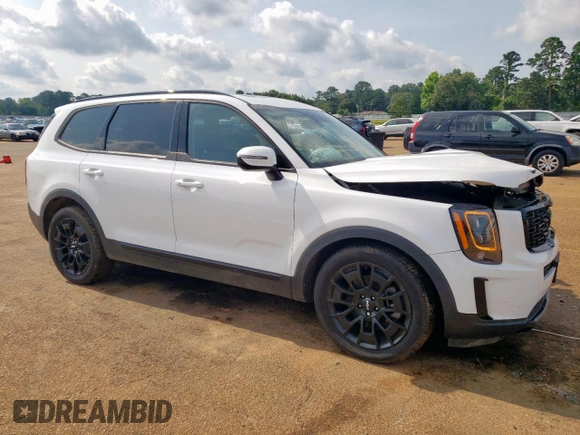 2022 Kia Telluride EX z VIN 5XYP3DHC1NG318982, wystawiony jako Copart lot #59152325 z przebiegiem 62 688 mil mil oraz Szkoda całkowita • Salvage title. Historia ofert i sprzedaży dostępna na DreamBid. Obrazek 4.