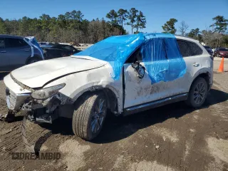 2018 Mazda CX-9 Signature with VIN JM3TCBEYXJ0204134, listed as a Copart auction lot 46318685 with Not Provided miles and Salvage Title. Bid and sale history available at carsss.com. Image 1.