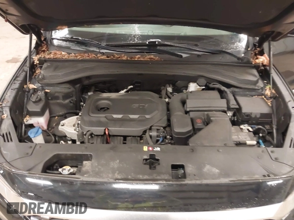 2020 Hyundai Santa Fe SE with VIN 5NMS2CAD1LH298441, listed as a IAAI auction lot 42333092 with 80,458 mi miles and . Bid and sale history available at DreamBid. Image 10.