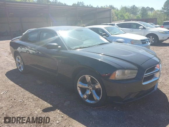 2013 Dodge Charger SE with VIN 2C3CDXBGXDH643384, listed as a IAAI auction lot 41977909 with 124,666 mi miles. Bid and sale history available at carsss.com. Image 1.