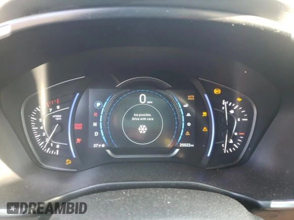 2019 Hyundai Santa Fe SEL with VIN 5NMS3CAD9KH058758, listed as a Copart auction lot 72594842 with 25,022 mi miles. Bid and sale history available at carsss.com. Image 9.