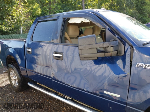 2011 Ford F-150 XLT with VIN 1FTFW1ETXBFA59901, listed as a IAAI auction lot 42537234 with 185,333 mi miles and . Bid and sale history available at DreamBid. Image 6.