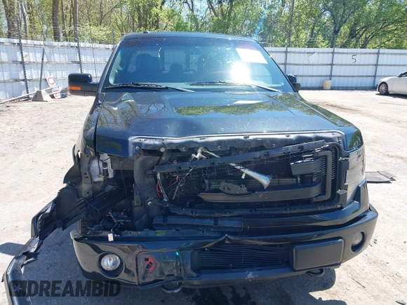 2014 Ford F-150 XL with VIN 1FTFW1ET3EFC67381, listed as a IAAI auction lot 42225858 with 85,853 mi miles and . Bid and sale history available at DreamBid. Image 12.