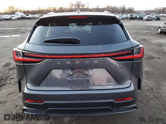 2023 Lexus NX with VIN 2T2GGCEZ4PC027507, listed as a Copart auction lot 80010563 with Not Provided miles. Bid and sale history available at carsss.com. Image 6.