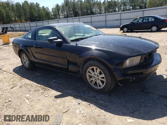 2005 Ford Mustang Deluxe with VIN 1ZVFT80N555244925, listed as a Copart auction lot 49692365 with 0 mi miles and Clean Title. Bid and sale history available at carsss.com. Image 4.