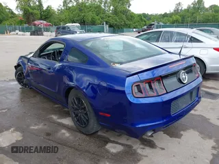 2013 Ford Mustang V6 with VIN 1ZVBP8AM7D5228491, listed as a IAAI auction lot 42209129 with 146,461 mi miles and . Bid and sale history available at DreamBid. Image 3.