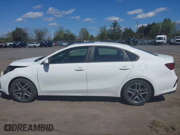 2019 Kia Forte S with VIN 3KPF34AD9KE020025, listed as a IAAI auction lot 41969844 with 123,887 mi miles and . Bid and sale history available at carsss.com. Image 14.