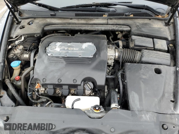 2005 Acura TL with VIN 19UUA66295A001838, listed as a Copart auction lot 45127454 with 194,389 mi miles and Clean Title. Bid and sale history available at carsss.com. Image 11.