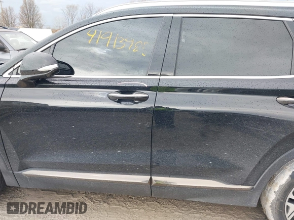 2020 Hyundai Santa Fe Limited with VIN 5NMS5CAA5LH274074, listed as a IAAI auction lot 41913985 with 58,846 mi miles. Bid and sale history available at carsss.com. Image 14.