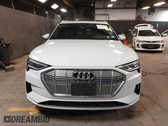 2019 Audi e-tron Prestige with VIN WA1VABGE3KB012371, listed as a IAAI auction lot 42314860 with 41,269 mi miles and . Bid and sale history available at DreamBid. Image 12.
