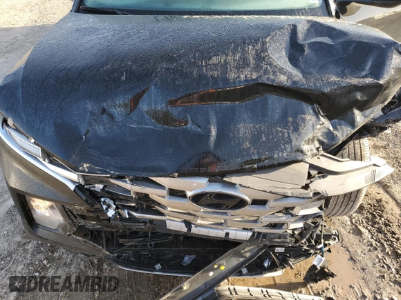 2023 Hyundai Santa Cruz SEL with VIN 5NTJCDAE6PH064085, listed as a Copart auction lot 52424805 with 21,320 mi miles and Salvage title. Bid and sale history available at DreamBid. Image 13.