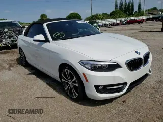 2017 BMW 2 Series 230i with VIN WBA2K9C37H7A26238, listed as a Copart auction lot 56988833 with 46,335 mi miles. Bid and sale history available at carsss.com. Image 11.