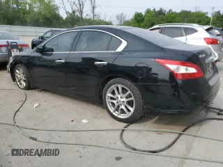 2010 Nissan Maxima SV with VIN 1N4AA5AP3AC818127, listed as a Copart auction lot 58318415 with Not provided miles and Clean title. Bid and sale history available at DreamBid. Image 2.